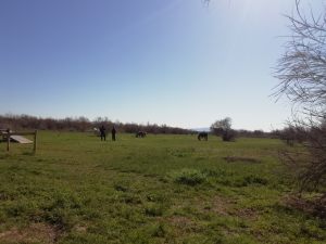 IMG_20220412_102342-min