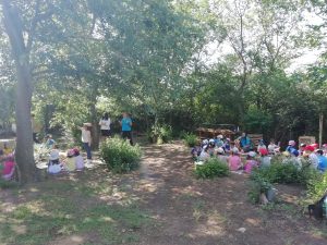 IMG_20220609_101614