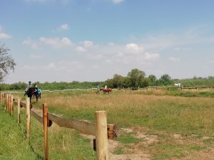 IMG_20220609_114040