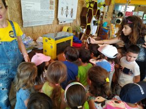 honey-park-to-meli-41