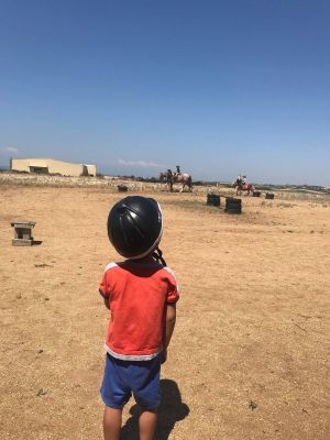 ktima-partali-17