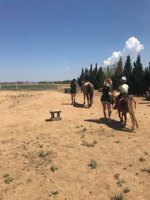 ktima-partali-7