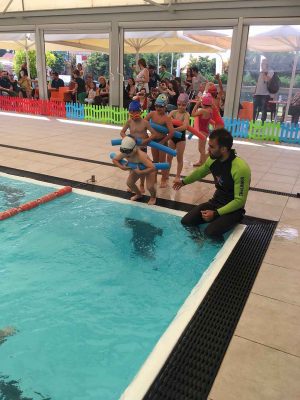 star-pool-center-teleth-aponomhs-2018-19-16